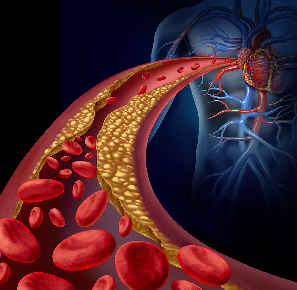 Research on Homocysteine